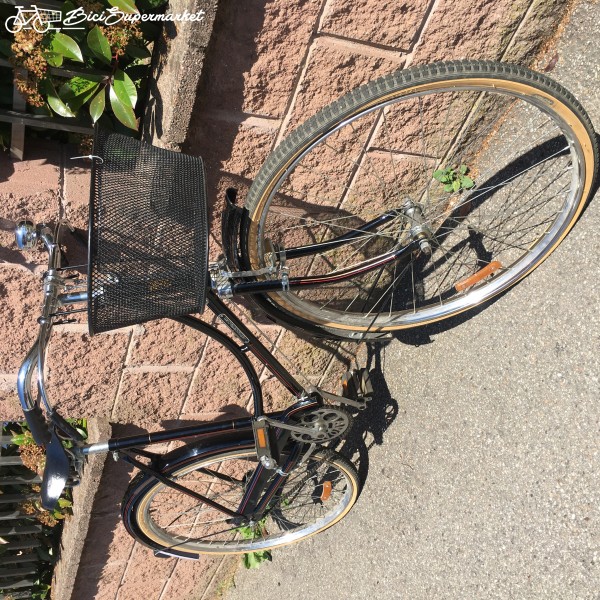 bicicletta con sidecar uomo donna